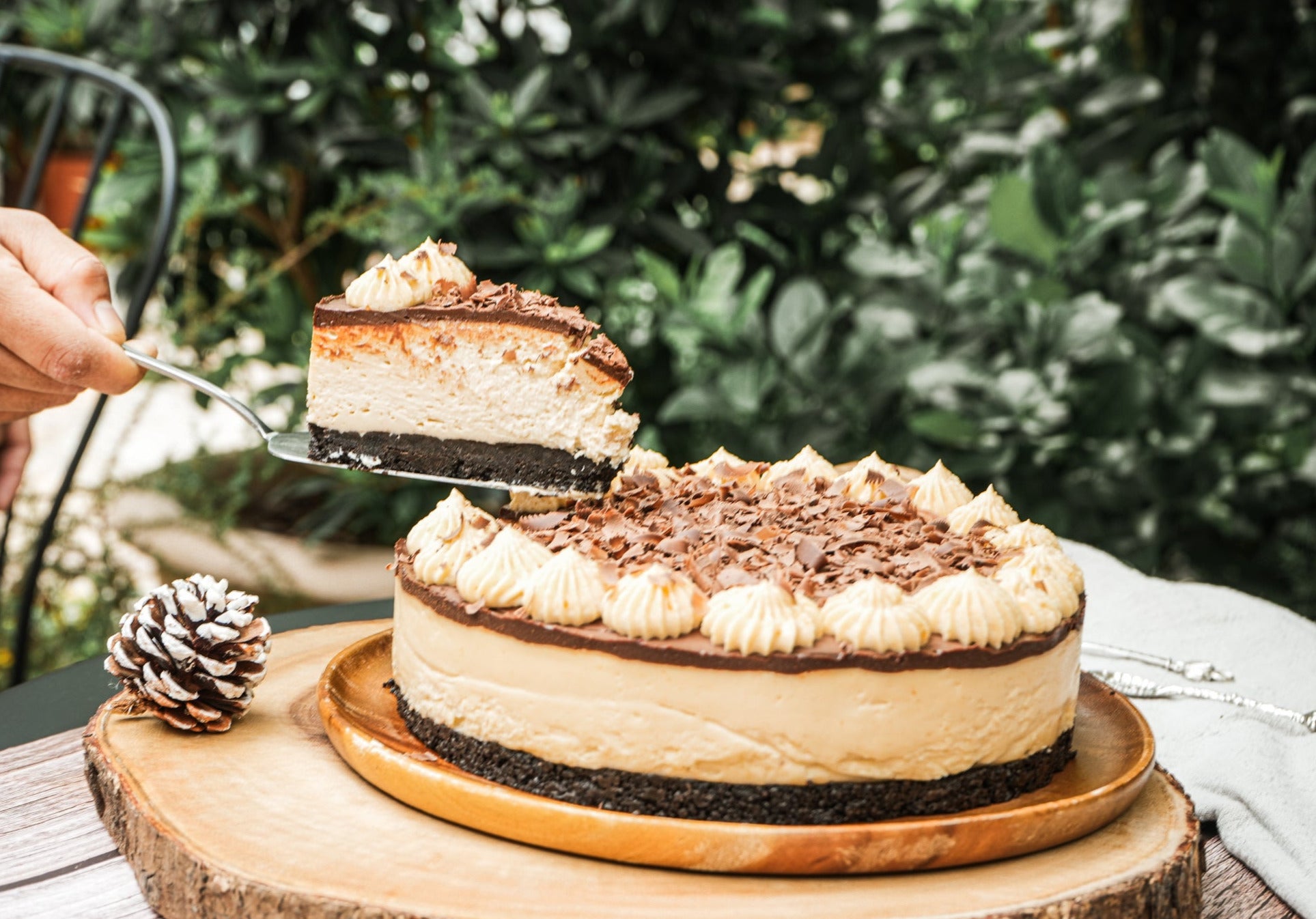 peanut butter cheesecake