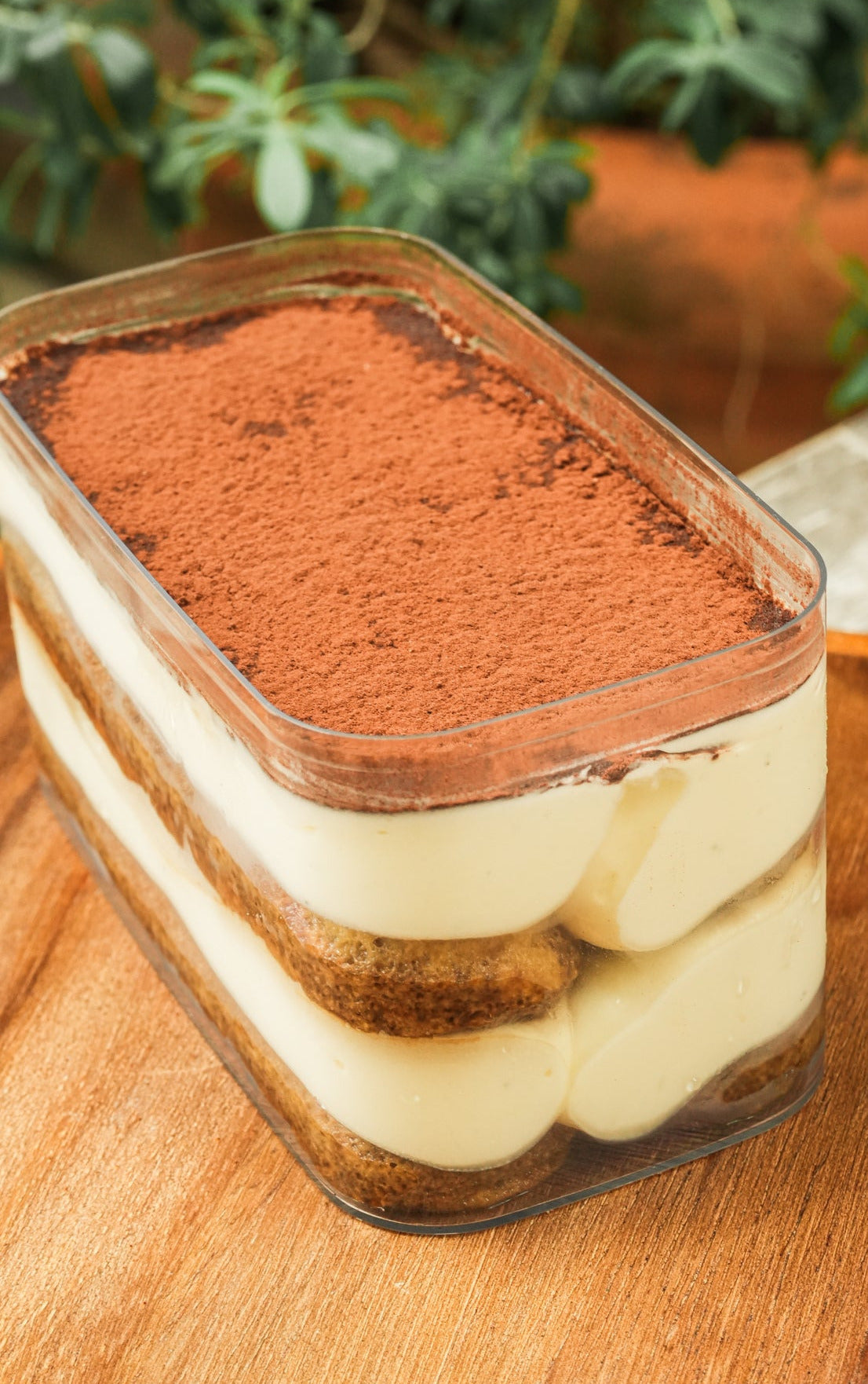 Tiramisu box made from ladyfingers kahlua and coffee.