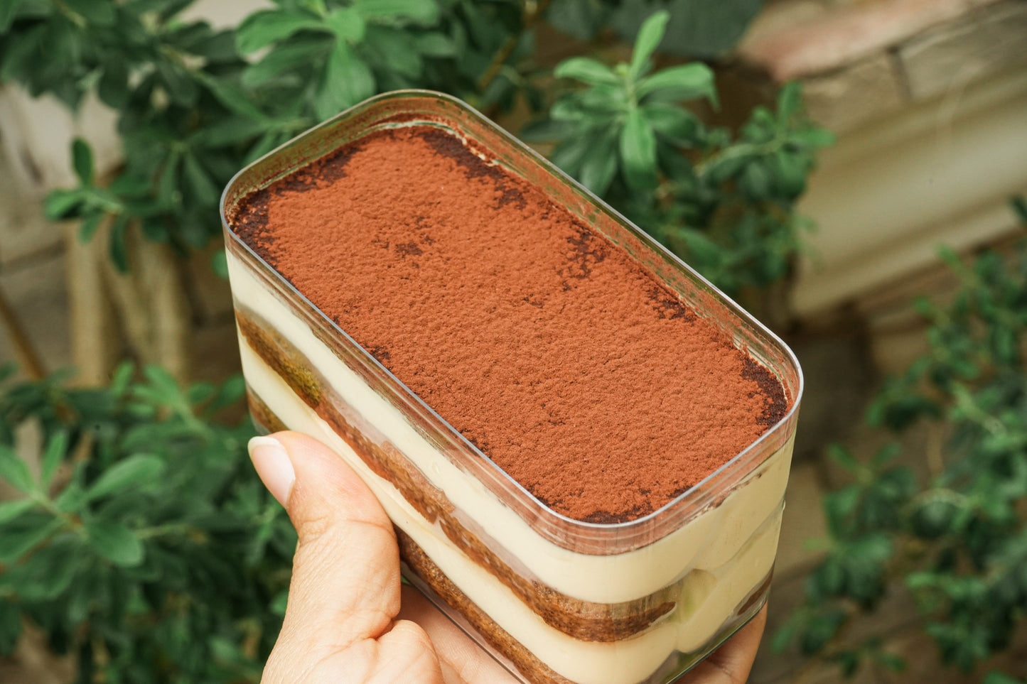 Tiramisu box with mascarpone cream and coffee soaked savoiardi biscuits.